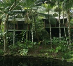 Daintree Rainforest - Daintree Eco Lodge & Spa, Daintree Rainforest
